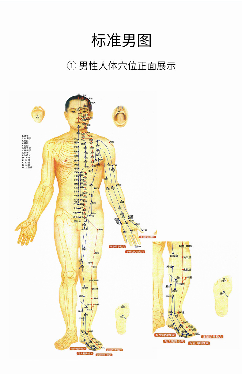 十二经络总览图（放大）